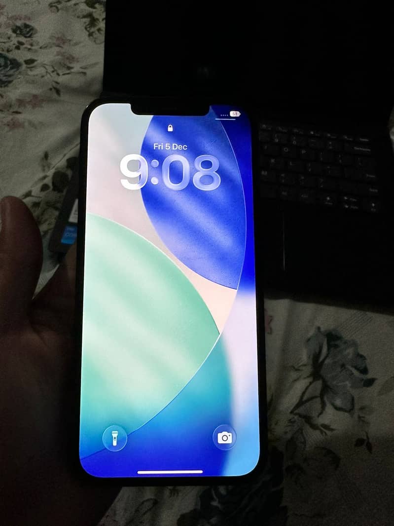 iPhone 12 Pro Max 1