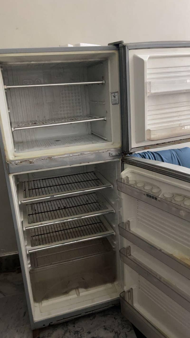fridge 1