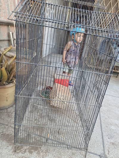 birds cage