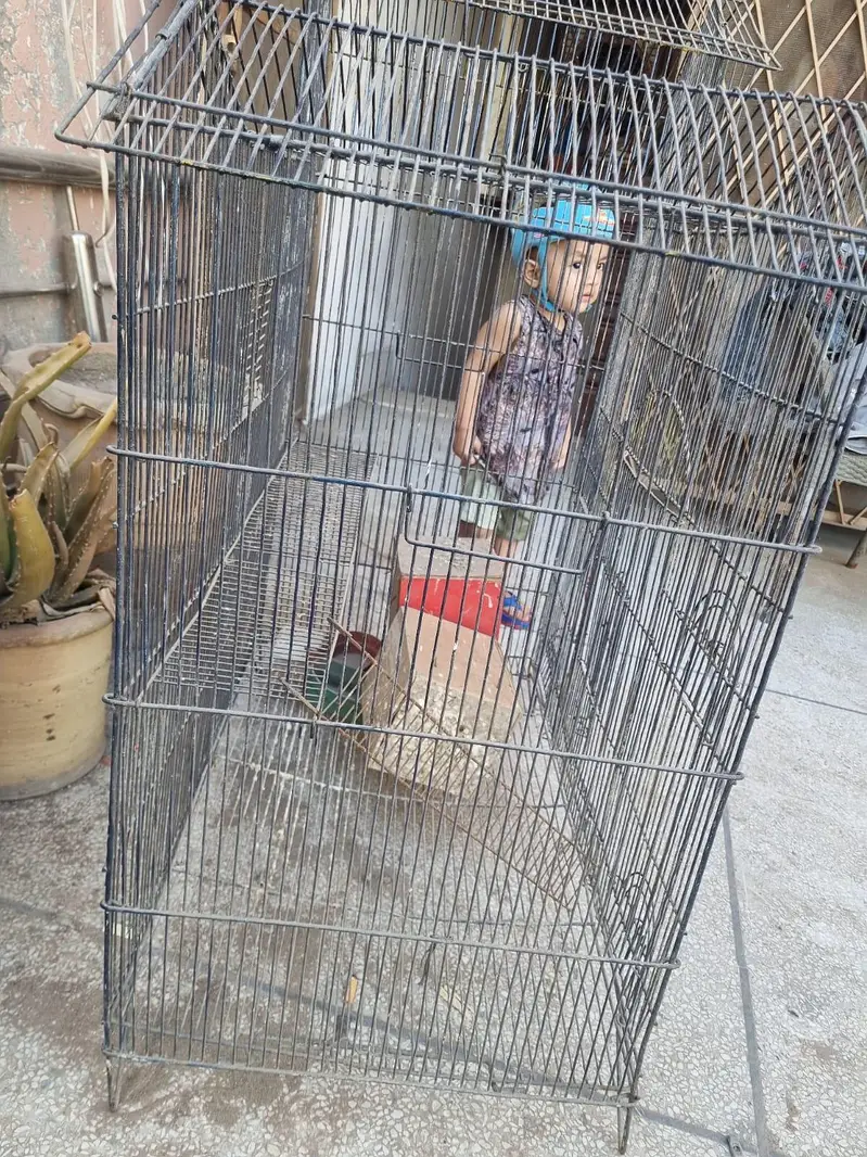 birds cage — photo 2