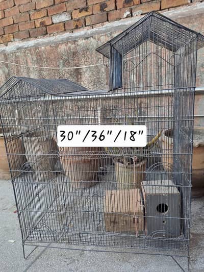 birds cage