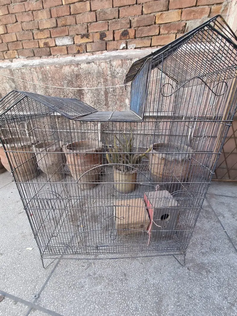 birds cage — photo 3
