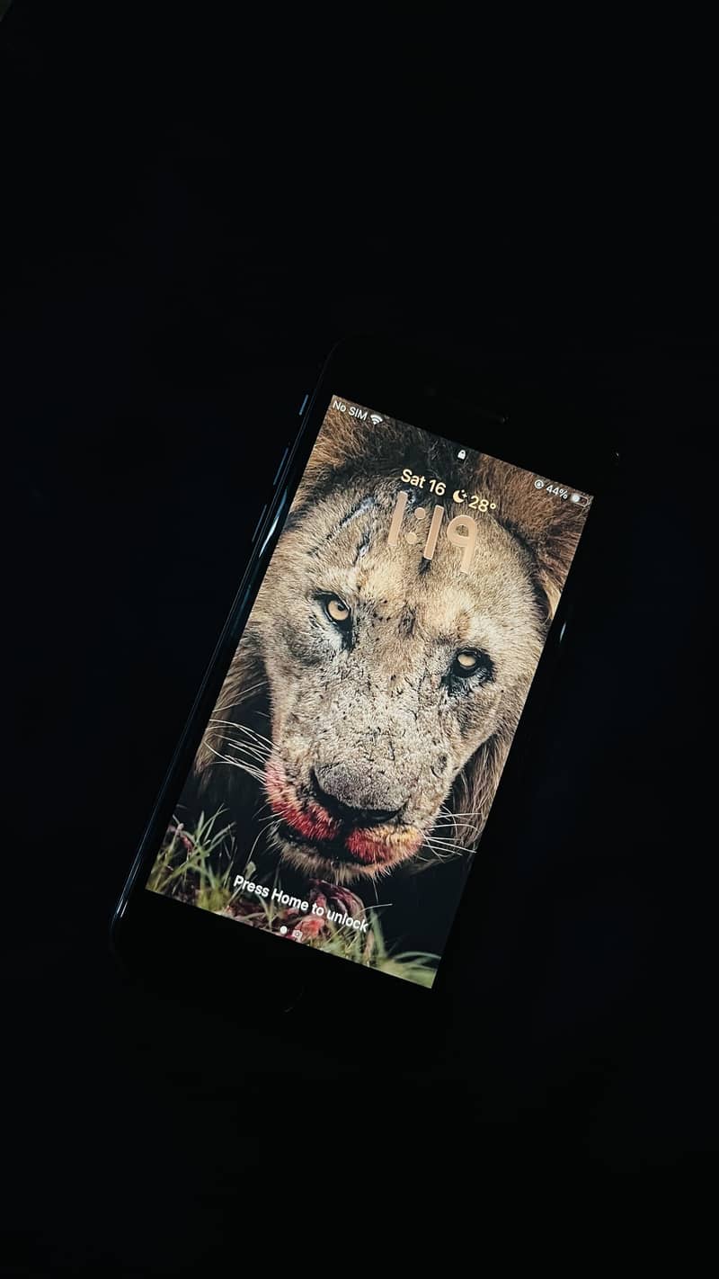 iPhone SE 3rd generation 3