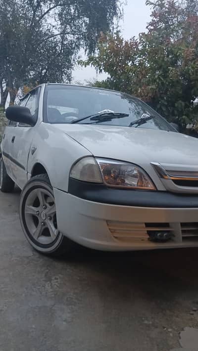 Suzuki cultas