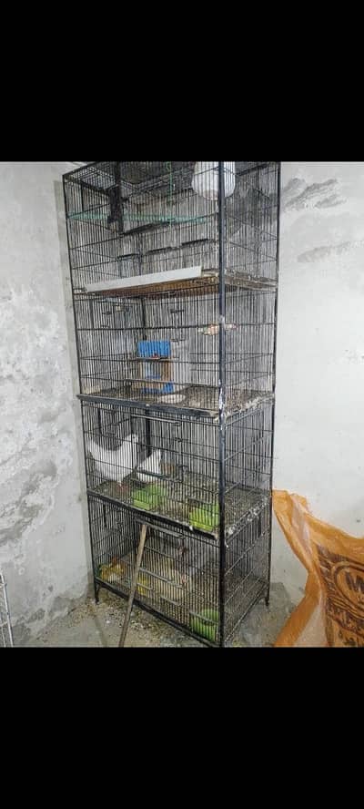 birds cage