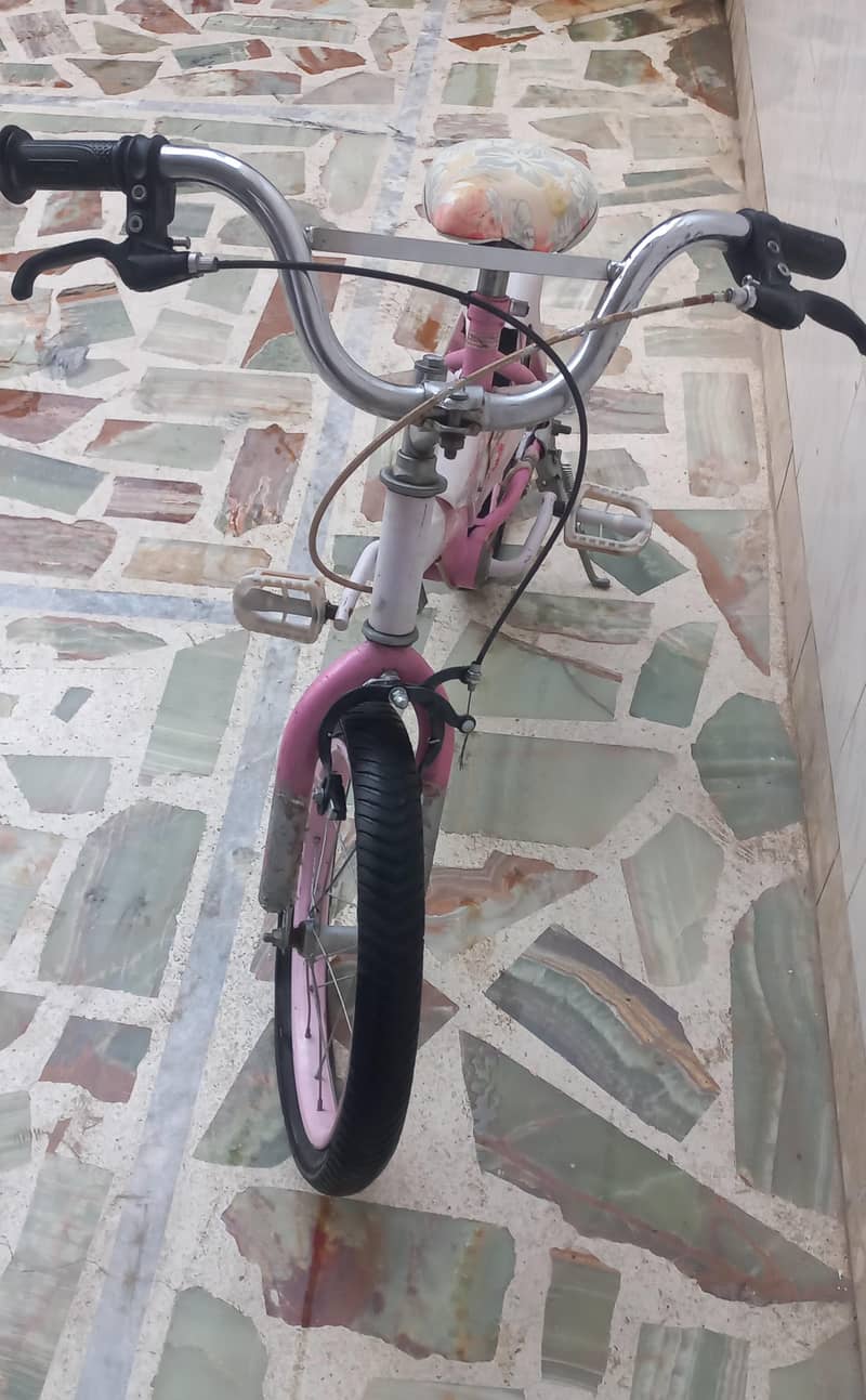 cycle 2