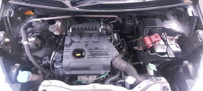 Suzuki cultus
