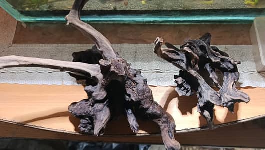 Driftwood