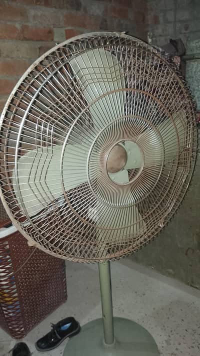 best fan