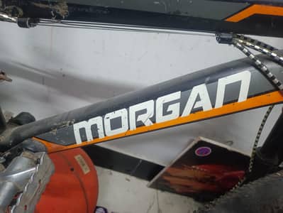 Morgan cyical