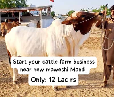 Farming land