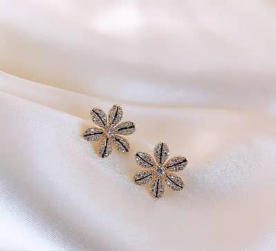 Beautiful Silver Earrings