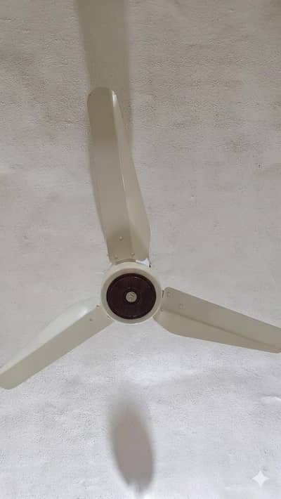 Fan For Sale