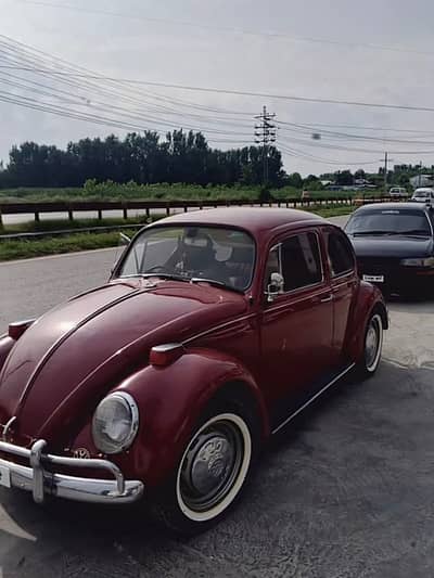 Foxy( 1969 model)