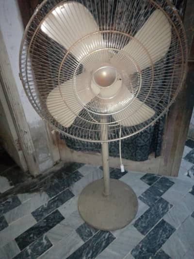 pedistol fan