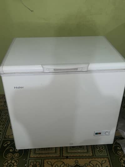 Haier 1 door freezer 10 by 10 condition like new