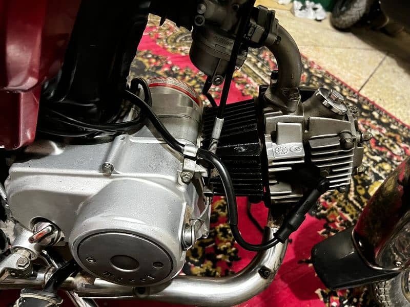Treet 70cc 5