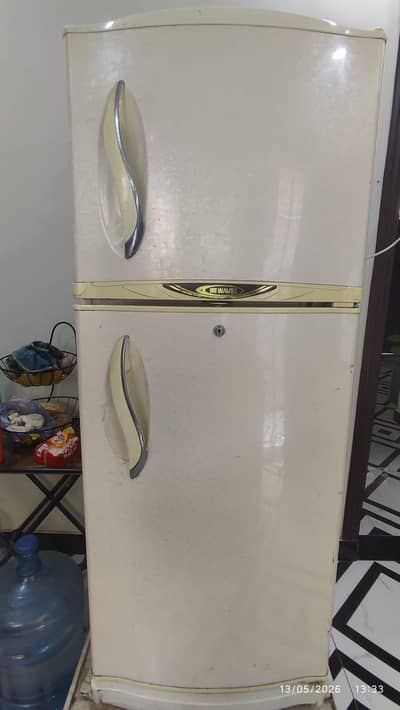 waves fridge