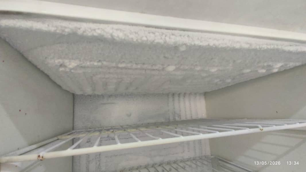 waves fridge 1