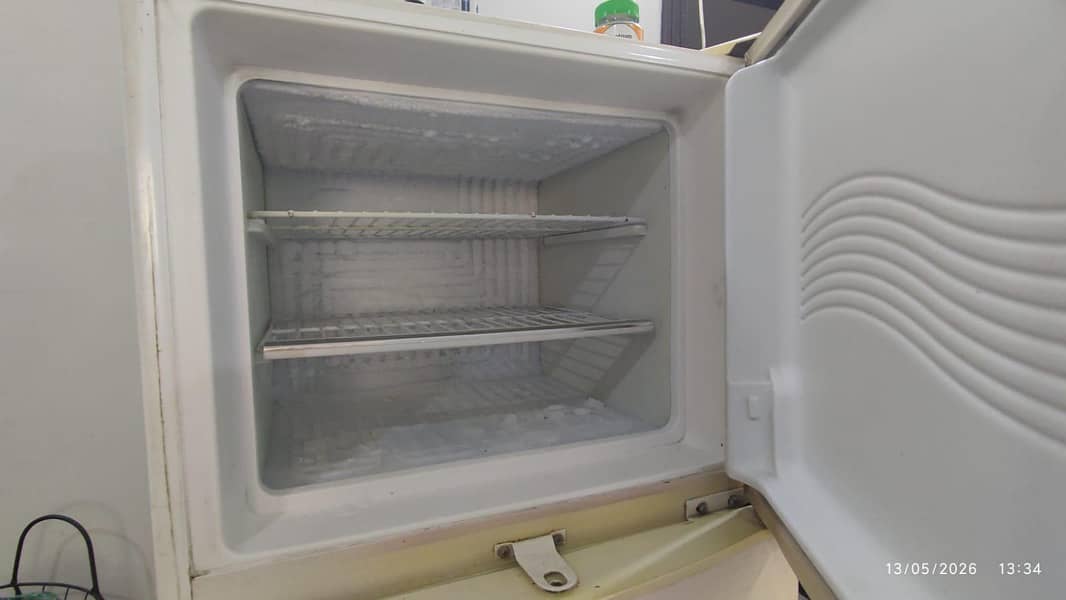 waves fridge 2