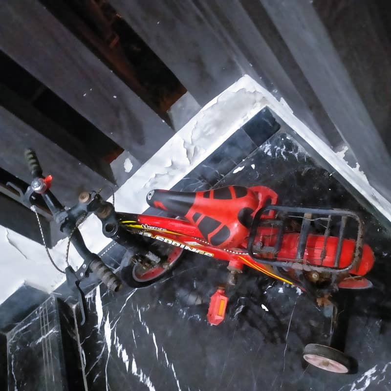 A red cycle 1