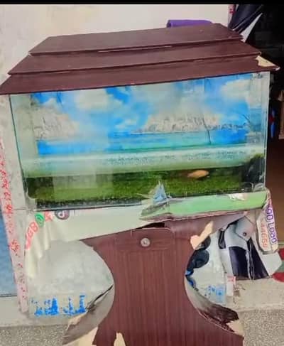 Aquiram for sale