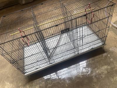 Parrot Cage