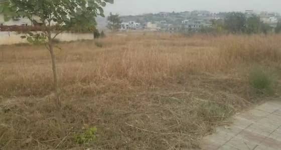 Premium Plot Sector C Solid Land