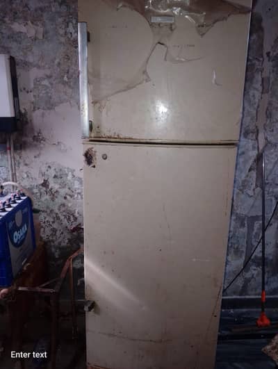 large size fridge