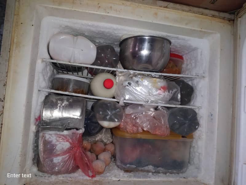large size fridge 3