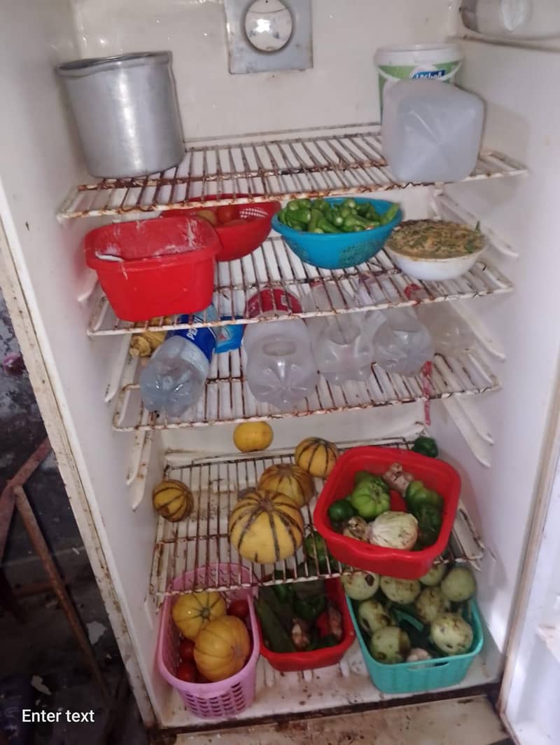 large size fridge 7