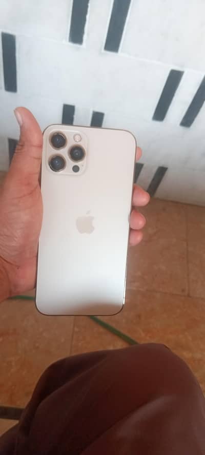 Iphone 12 Pro Max