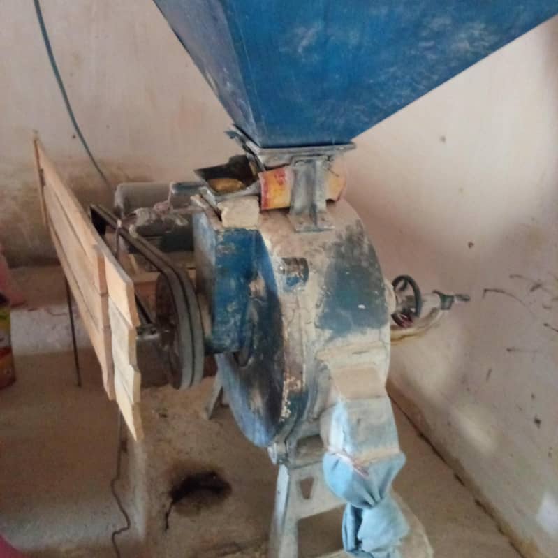 soler chakky03005687958 4