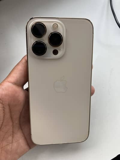 13 Pro (Non PTA)