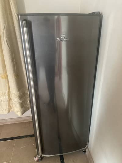 fresh body