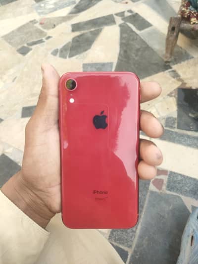 iPhone XR 10/10 condition