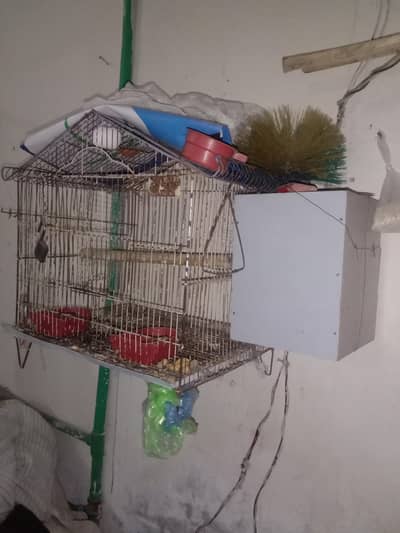 cage and box