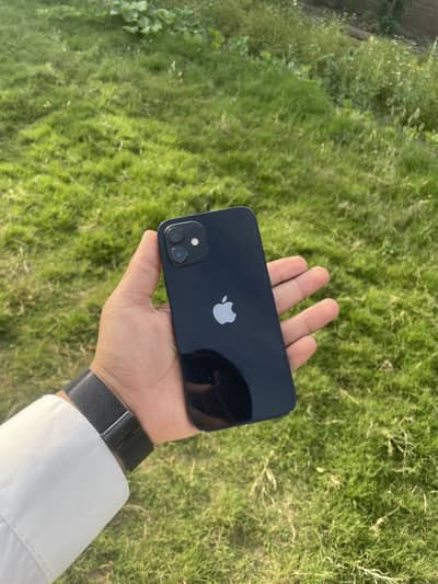 iPhone 12 88 health