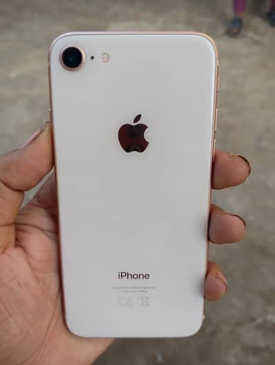 iPhone8 PTA Approved  64GB Good Condition