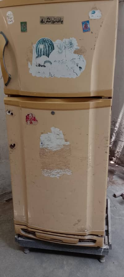 pel large size fridge