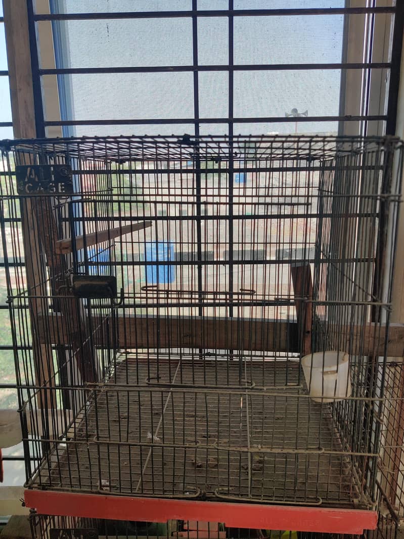 bird cage 2