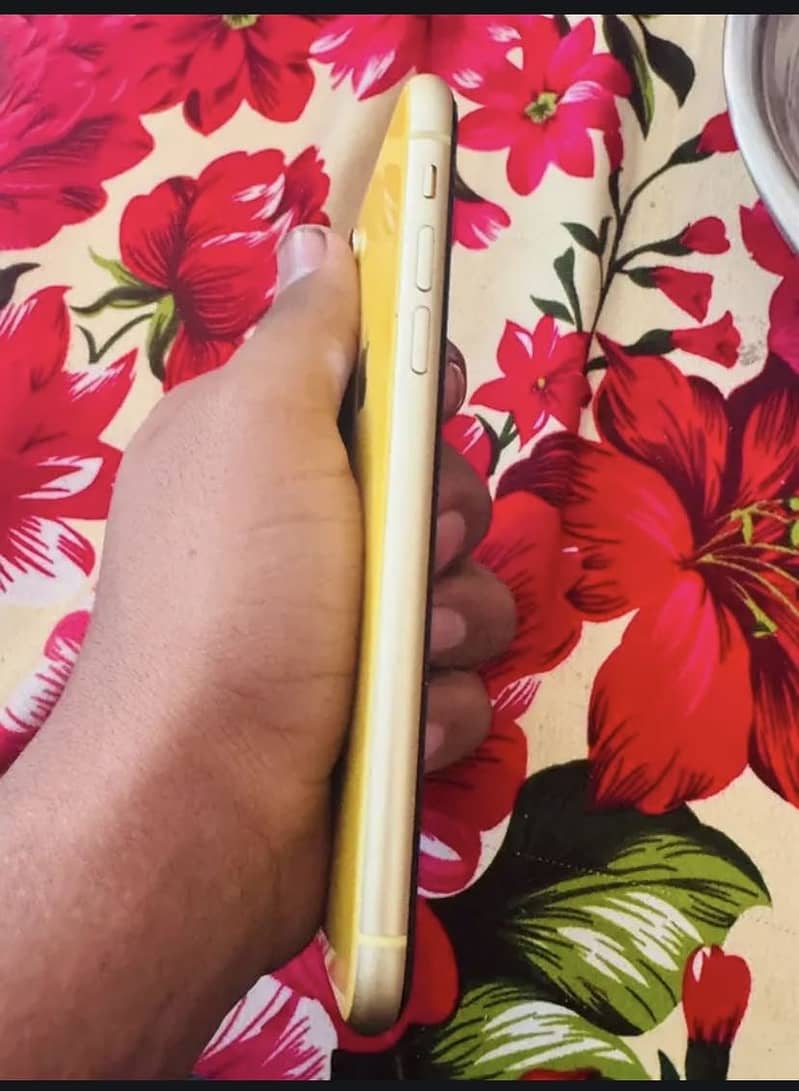 iPhone xr 1