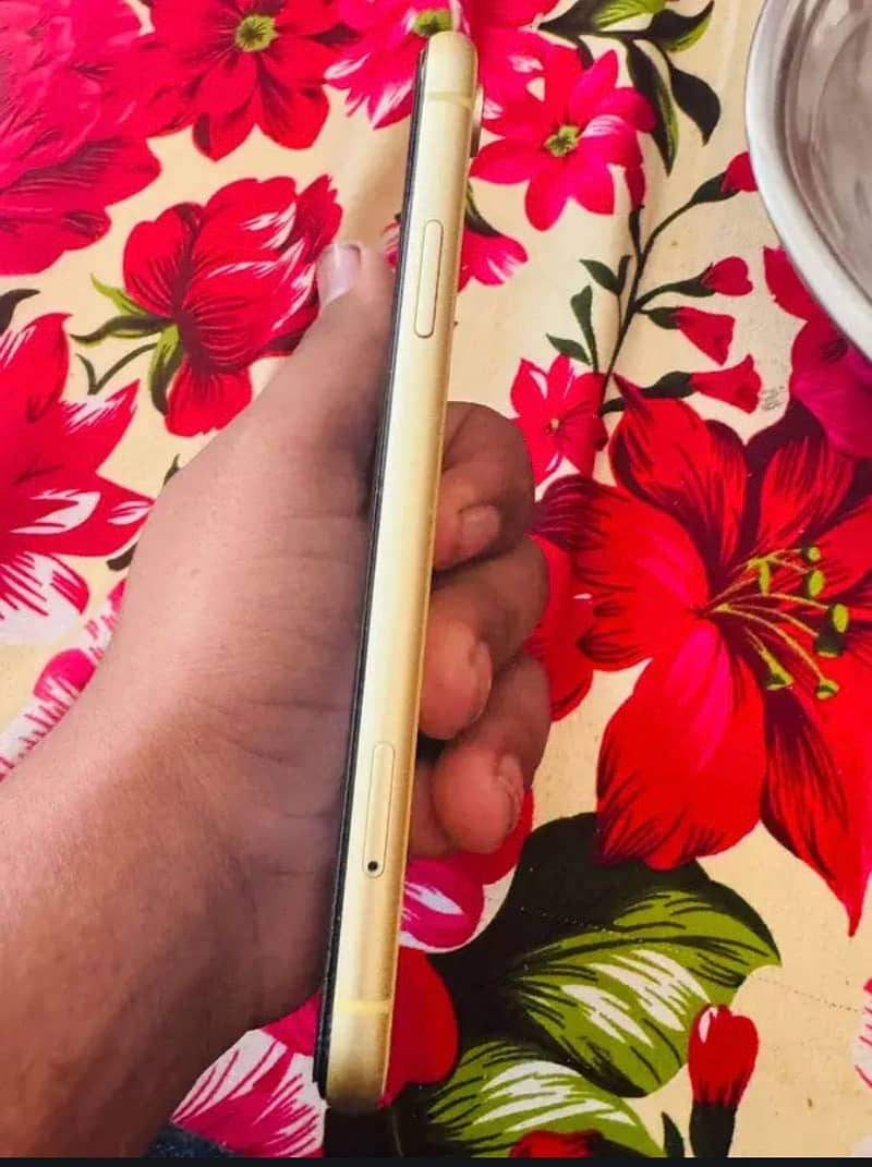 iPhone 2