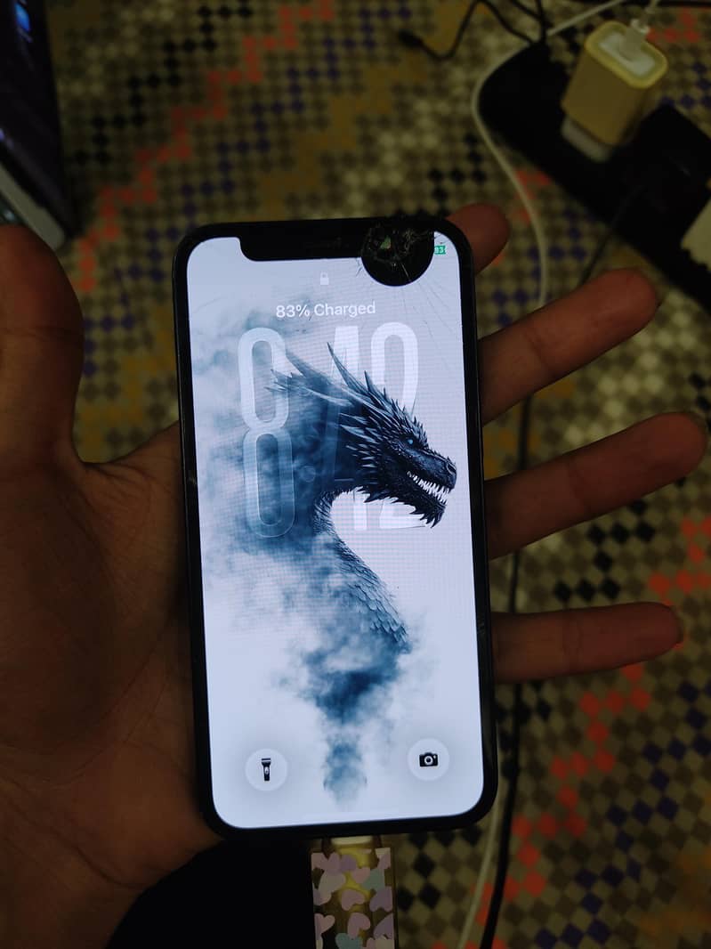 iPhone 12 Mini 1