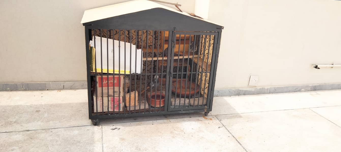 Strong CAGE 0