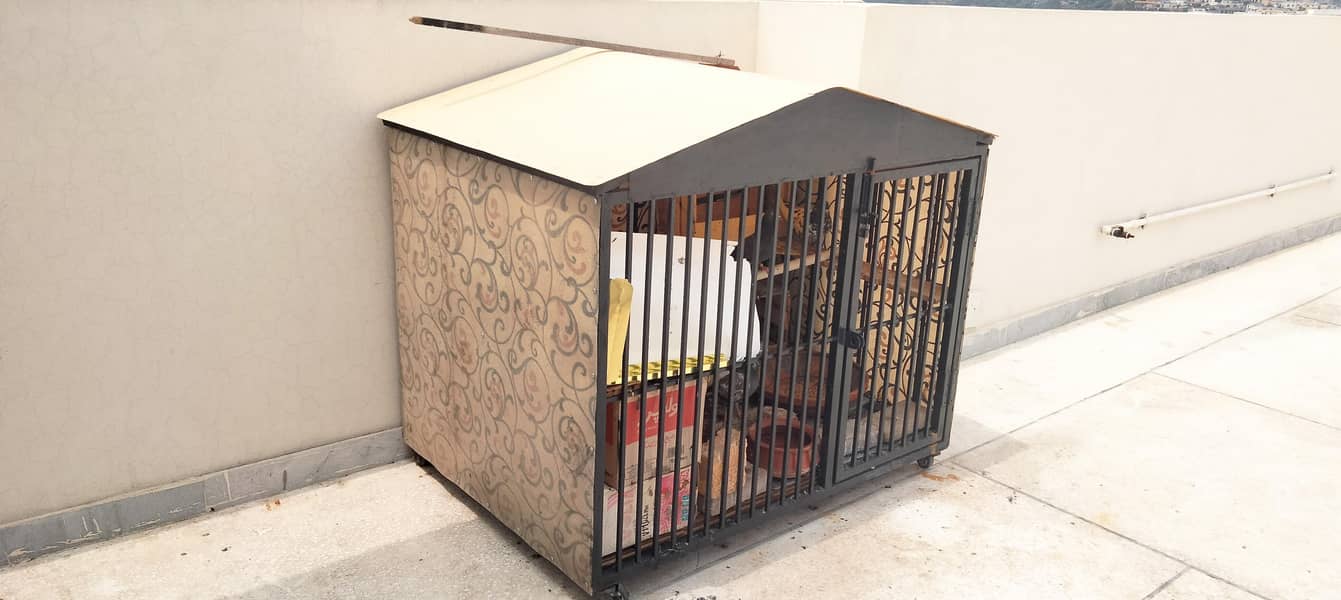 Strong CAGE 2