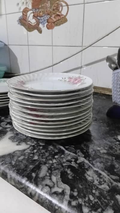 Beautiful plates dinner set