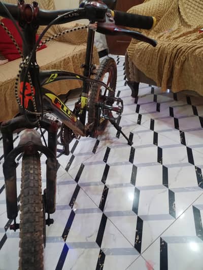 Mountain bicycle