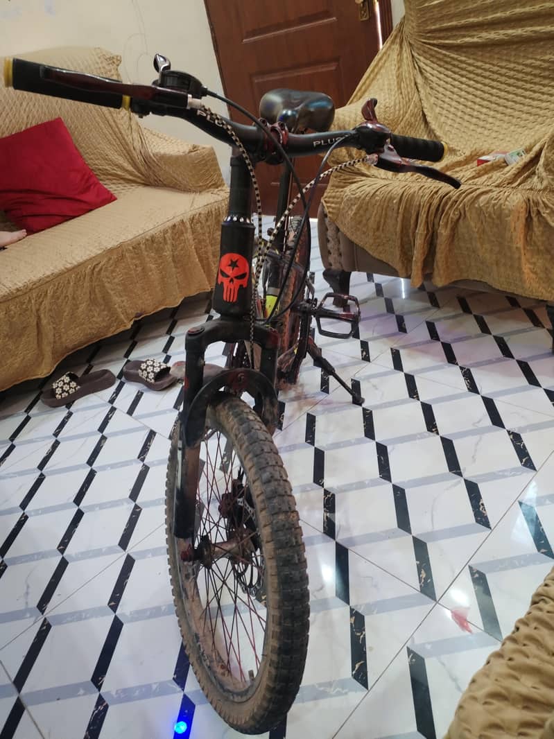Mountain bicycle 1