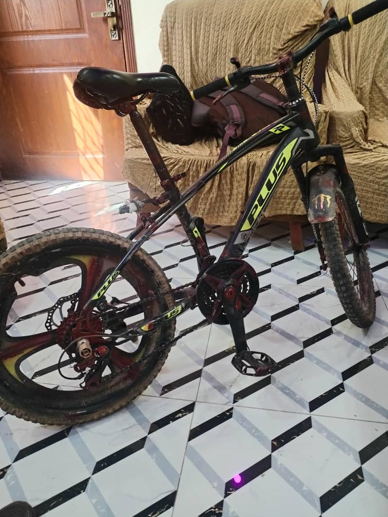 Mountain bicycle 2